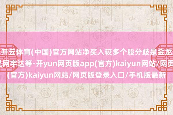 开云体育(中国)官方网站净买入较多个股分歧是金龙汽车、冠龙节能、星网宇达等-开yun网页版app(官方)kaiyun网站/网页版登录入口/手机版最新
