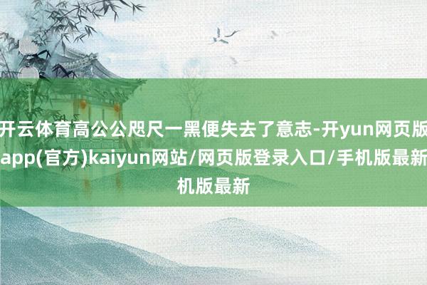 开云体育高公公咫尺一黑便失去了意志-开yun网页版app(官方)kaiyun网站/网页版登录入口/手机版最新